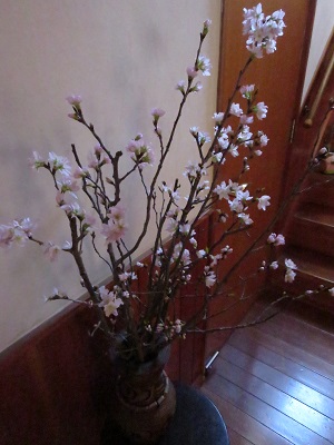 ④初桜